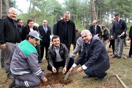 Mula Valisinden Bal Ormanna Ziyaret