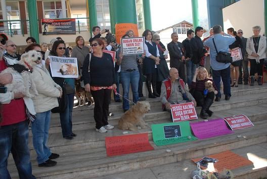 Hayvanlara Ynelik Katliam Protesto Edildi