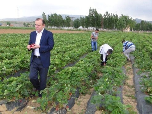 ilek Projesi Seydikemere Hayat Verecek