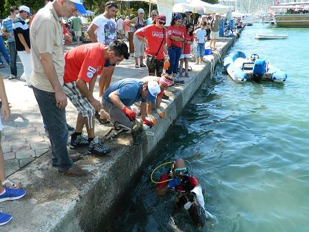 Fethiye Krfezi plk Gibi