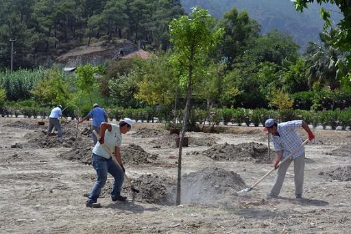 Soma ehitleri in Fidan Diktiler